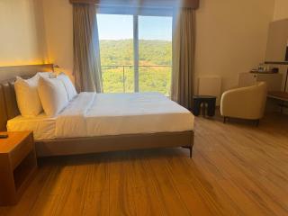 Regenta Z Mahabaleshwar - 9