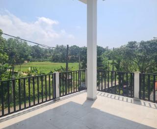 Green Fields Panorama - 1