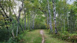 Great Lakes Suite InnOnGitcheGumee - 5