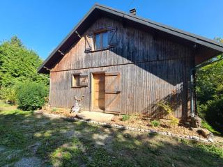 Agréable chalet - 9