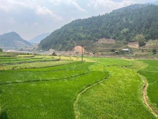 Homestay Hoà Thảo - Bus ,Trek & motorbike - 2