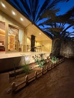 Aviary AlUla Studio - 9