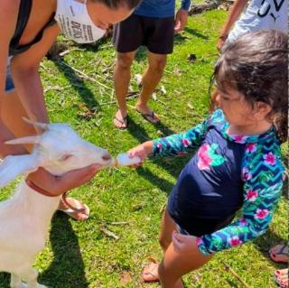 Estância Flor do Campo - 2