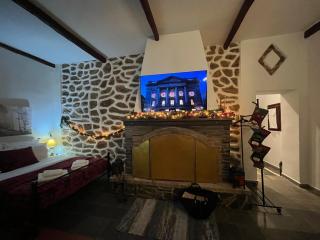 Aggelos Gardenhouse of Volos - 5