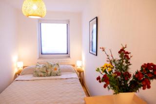 Blick auf die Sachsenhöhe - 2