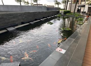 Gold Coast PIK Premium Sea View Apartments - 1