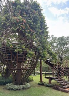 Gold Coast PIK Premium Sea View Apartments - 3