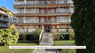 Sakura - By Ligooria - 7