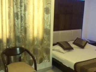 Saffron Inn-Near New Delhi Railway Station - New Delhi - 7