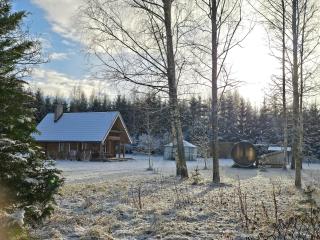 2-bedroom, fenced yard, sauna, 10 min to Pärnu - 0