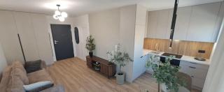 Studio Magnolia Suite - 4