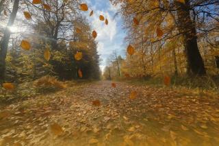 La parenthèse Normande- Balnéo - Vidéo projecteur - 6