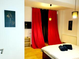 Băneasa apartment - 9