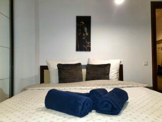 Băneasa apartment - 7