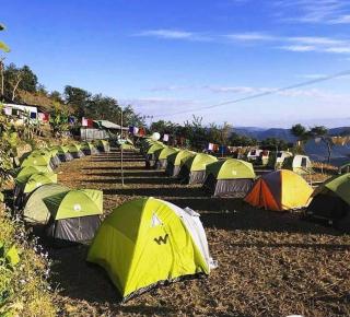 Camp Hornbill - 4