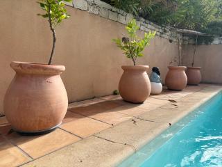 vue sur le golfe de Saint Florent - 5