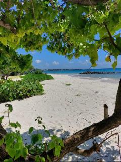 T.Cole’s Holiday Rental - 9