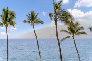 Kihei Surfside 306 · KSS 306 Updated BeachFront 1BD w Ocean View - 2