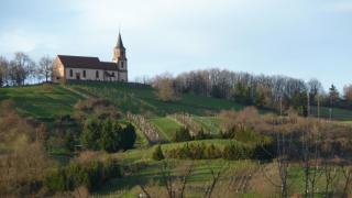 Appartement Lino - base idéale pour explorer l'Alsace, emplacement privilégié entre vignes et Vosges - 1