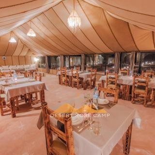 Sahara Desert Camp - 6