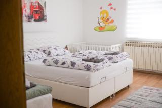 Apartman Vion - City View - 3