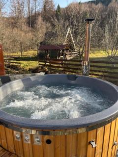 Casa de vacanța Cristina - 8