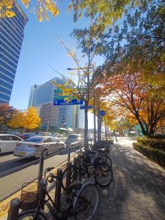 Highstay Gangnam Studio, SRT - 2