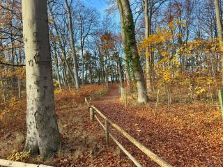 Apartament relax 2 - 8