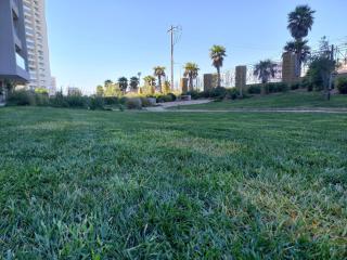 Departamento con vista a las Dunas y playa - 2