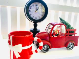 Newport Cottage sleeps 5 - 1