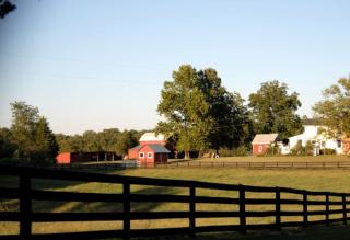 One-Bedroom, One-Bathroom Cottage Rental on a 250-Acre Cattle Farm near Appalachian Trail - 9