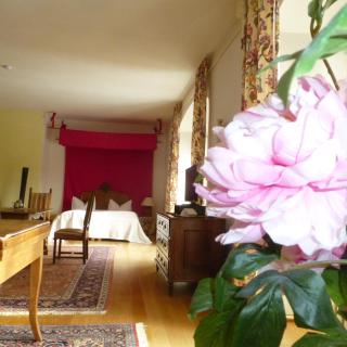 Schloss Hotel Wallhausen - 1