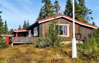 Three-Bedroom Holiday Home In Sjusjoen - 1