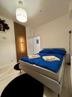 Elephant Studio - Breslau - 7