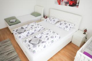 Apartman Vion - City View - 8