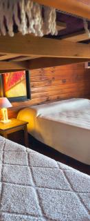 Kapo TEAM , colibri - 8