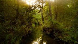 Stunning Yurt Rental in Texas Ideal for a Romantic Getaway near Austin - 5
