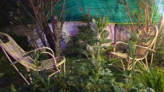 Nature View Private Villa - 6