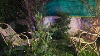 Nature View Private Villa - 3