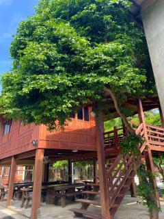 บ้านสวนเปรมณัฐตรา - 1