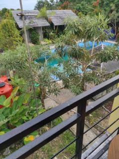 Embun Pagi Alami - 6