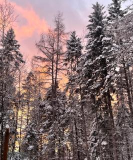 Le 1040 St-Mathieu du Parc - 8