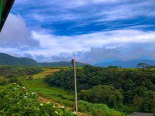 Tidenest Cottage - 1