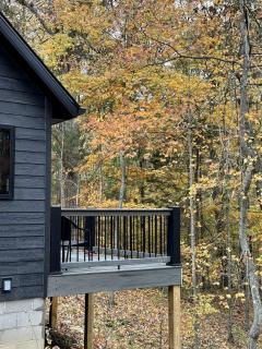 Hot-tub and Fire Pit Provided Cabin in Carbondale, Illinois - 7
