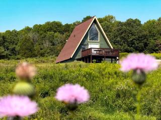 Breathtaking A-frame with Impressive Nature Views in Carbondale, Illinois - 6