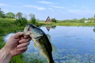 Breathtaking A-frame with Impressive Nature Views in Carbondale, Illinois - 5