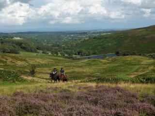 Famau View Farm- Stunning countryside location - 3