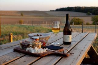 Parcel Tiny House Cave Nerot, au coeur des vignes près de Sancerre - 2