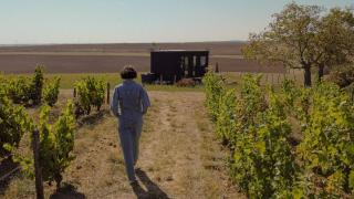 Parcel Tiny House Cave Nerot, au coeur des vignes près de Sancerre - 9