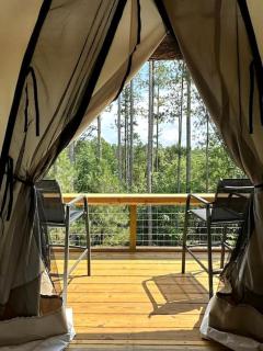 Entire Safari Tents Campground Ideal for Large Groups in Kentucky - 5